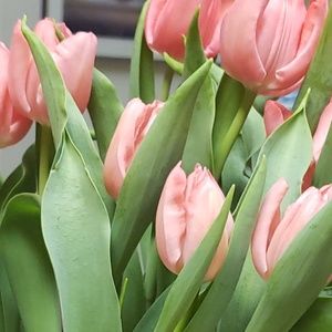 Meet your Posher, Nitza